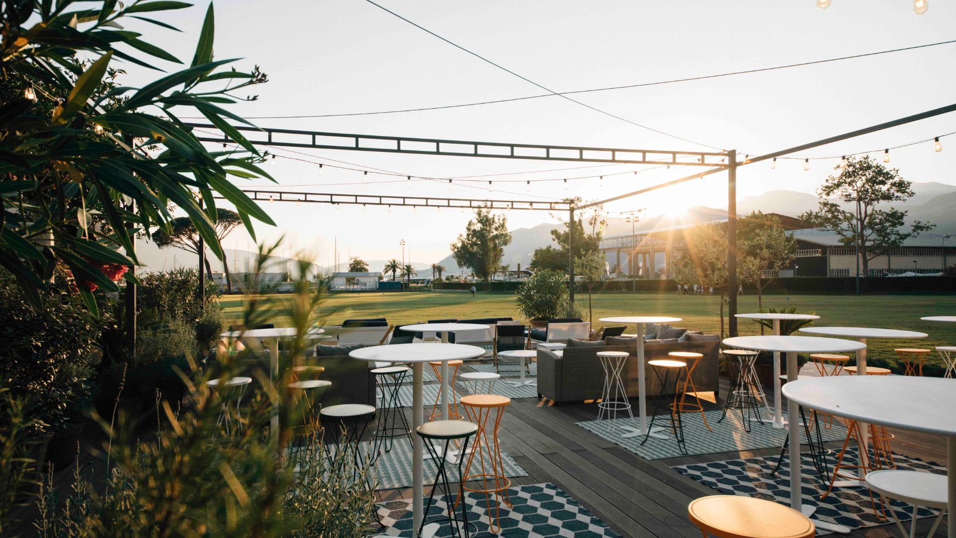 blue room sports bar design porto montenegro biofilico